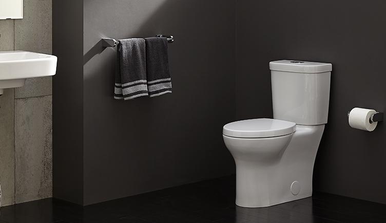 DXV lyndon collection toilet bath install