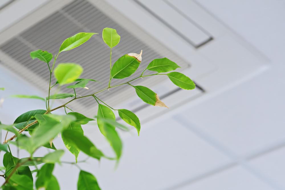 indoor air quality: ventilation vs. purification