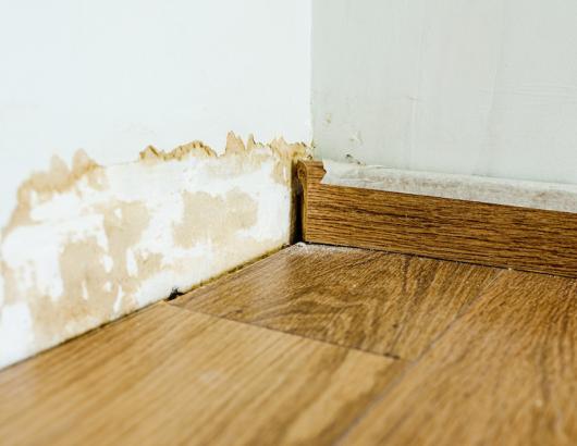 mold on kick board caused by moisture could be avoided by managing moisture in walls