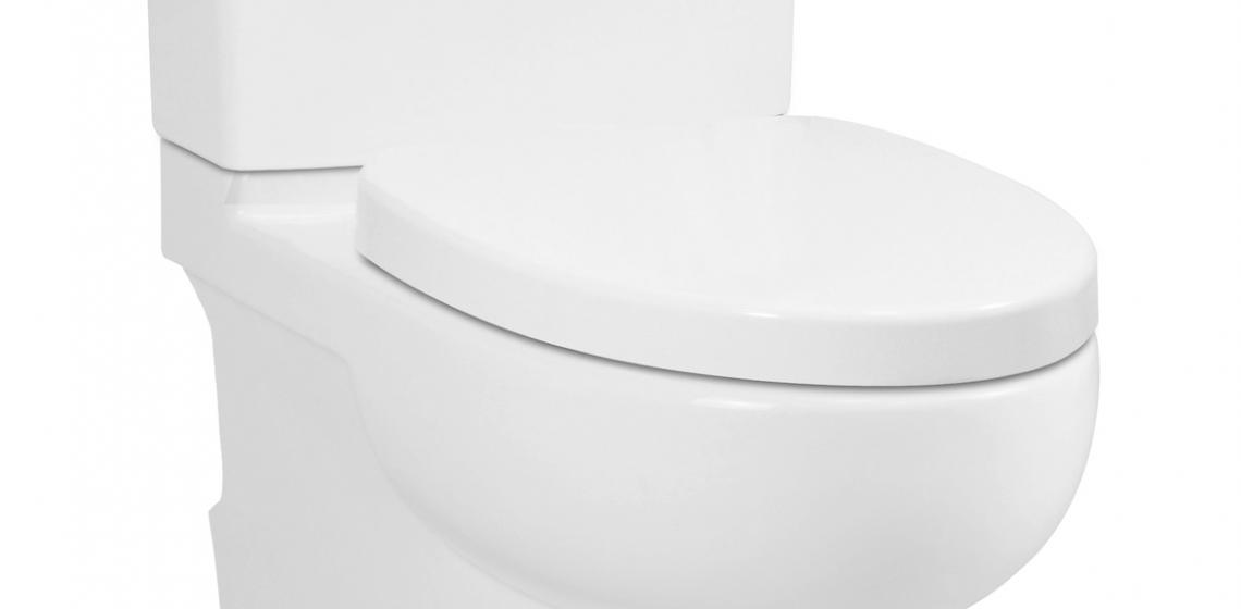  ICERA Malibu II Backoutlet Toilet Angled