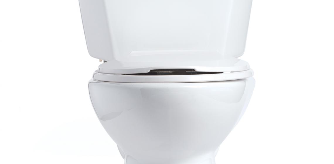 Mansfield Plumbing Denali toilet
