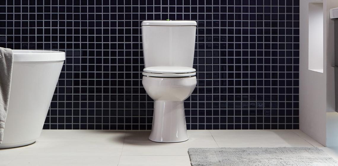 Niagara Nano high efficiency toilet