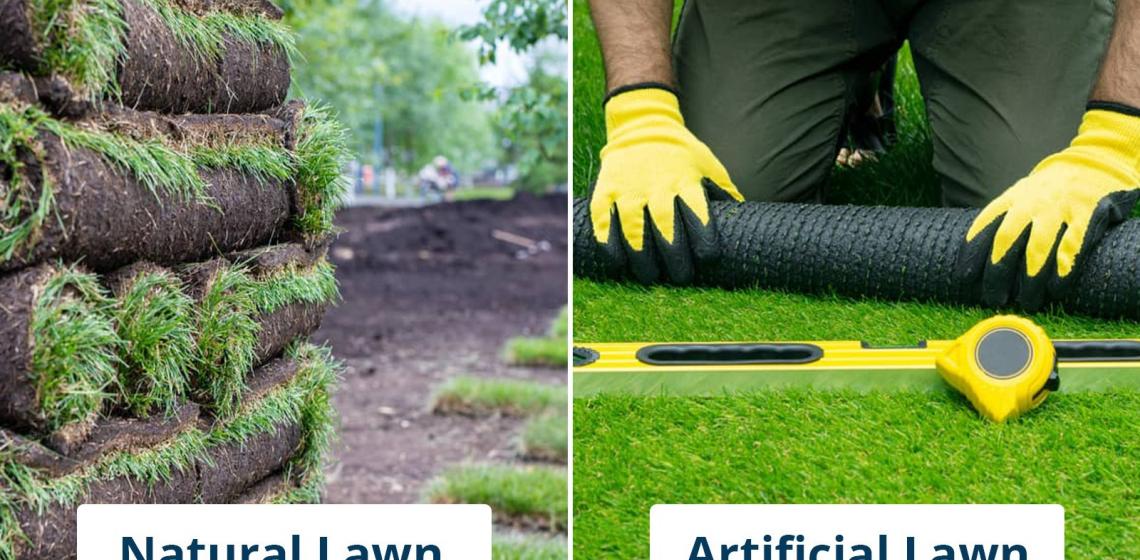artificial lawn versus a natural lawn—which is better?